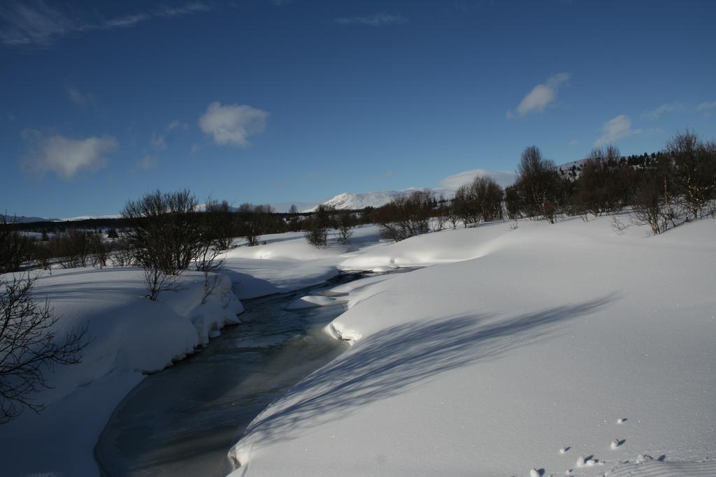 Furulund Pensjonat Ron Exteriér fotografie